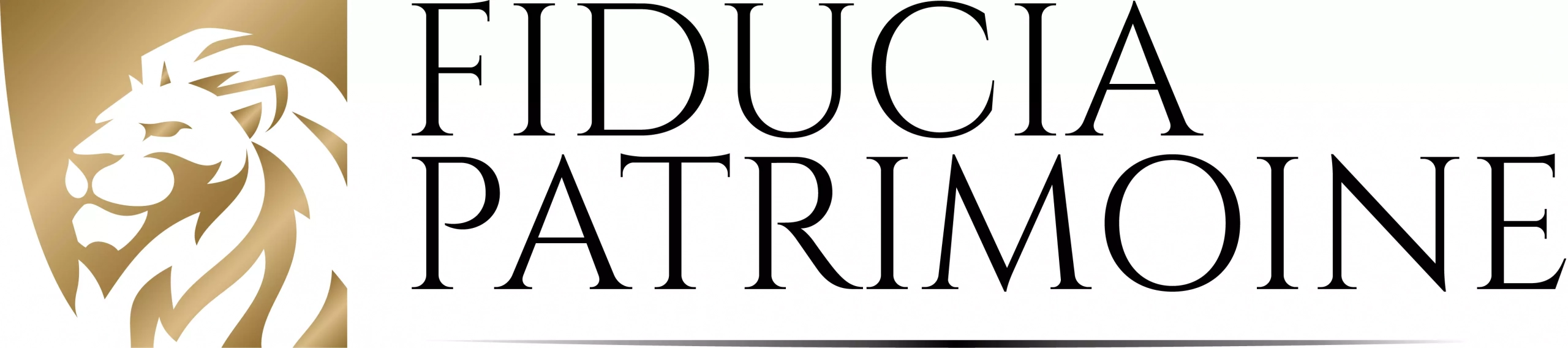 You are currently viewing Fiducia Patrimoine