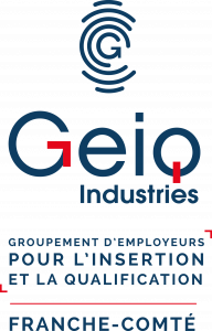 Lire la suite à propos de l’article GEIQ Industries