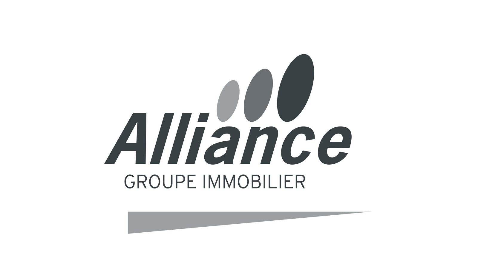 Alliance Groupe Immobilier