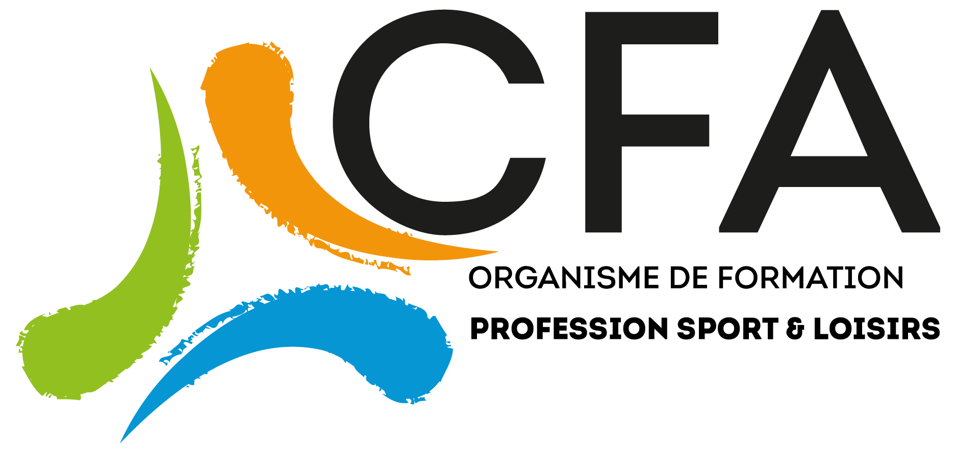 You are currently viewing CFA Profession Sport Loisirs